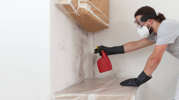 Professional Mold Removal technician working in Clearville, PA